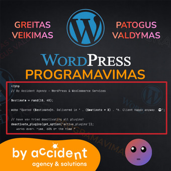 Programavimas su WordPress Klaipėda By Accident Solutions nuotrauka 5