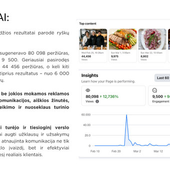 Socialinių tinklų kūrimas ir administravimas Vilnius Kristina Alkeviciute nuotrauka 2