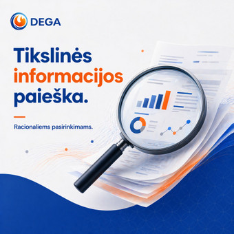 Informacijos paieška ir analizė Vilnius DEGA - Gabrielė D. nuotrauka 6