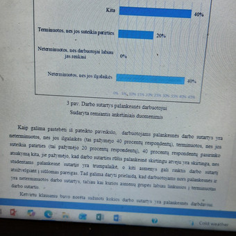 Kiekybiniai bei kokybiniai tyrimai Vilnius Dana nuotrauka 4