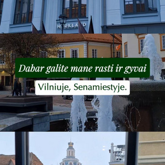 Komunikacija socialiniuose tinkluose Vilnius Kristina Kurilaitė nuotrauka 3