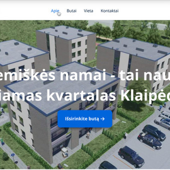 Programavimas su Laravel (PHP) Klaipėda Simonas Paulius nuotrauka 4
