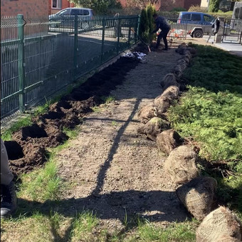 Kraštovaizdžio projektavimas Kaunas Medelynas Flora nuotrauka 2