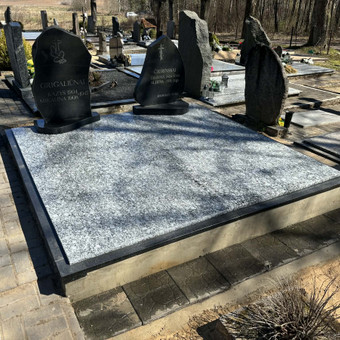 Konsultacija Jonavos rajonas Giedrius nuotrauka 8