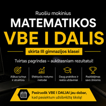 Pasiruošimas VBE (I dalis) Vilnius Nerijus Simanavičius nuotrauka 9