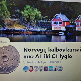 Individualus norvegų kalbos mokymas Kaunas Aušra Damanskienė nuotrauka 3