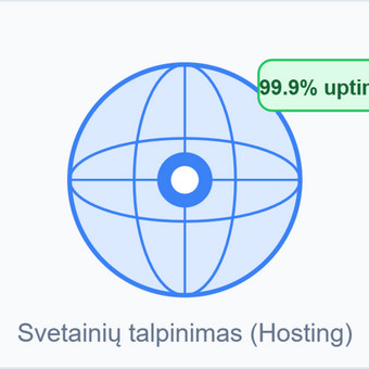 Svetainių talpinimas (Hosting) Vilnius Lukas Aleksiejūnas nuotrauka 3