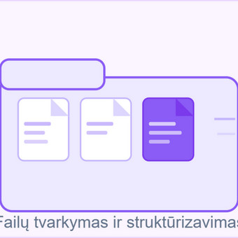 Failų tvarkymas ir struktūrizavimas Vilnius Lukas Aleksiejūnas nuotrauka 5