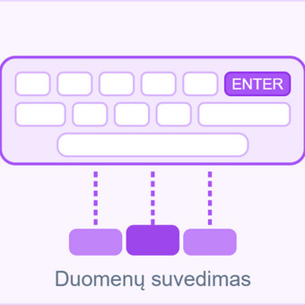 Duomenų suvedimas Vilnius Lukas Aleksiejūnas nuotrauka 15