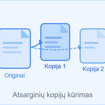 Atsarginių kopijų kūrimas Vilnius Lukas Aleksiejūnas nuotrauka 16