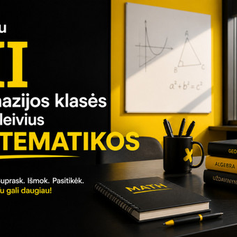 MOKAU III GIMNAZIJOS KLASĖS MOKINIUS MATEMATIKOS Vilnius Nerijus Simanavičius nuotrauka 15