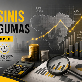 FINANSINIS RAŠTINGUMAS - VALSTYBĖS FINANSAI Vilnius Nerijus Simanavičius nuotrauka 4