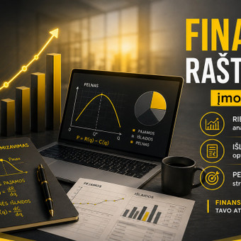FINANSINIS RAŠTINGUMAS - ĮMONĖS FINANSAI Vilnius Nerijus Simanavičius nuotrauka 20
