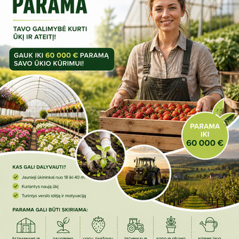ES paramos projektų rengimas ir administravimas Vilnius UAB Subdoma nuotrauka 4