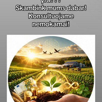 Verslo planų rengimas Vilnius UAB Subdoma nuotrauka 1