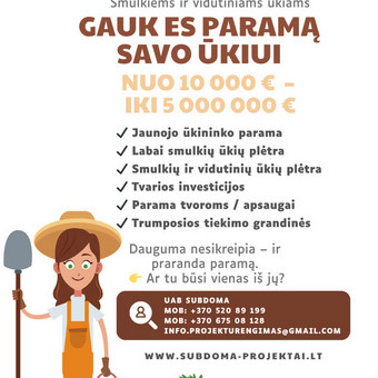 Investicinių projektų rengimas Vilnius UAB Subdoma nuotrauka 2