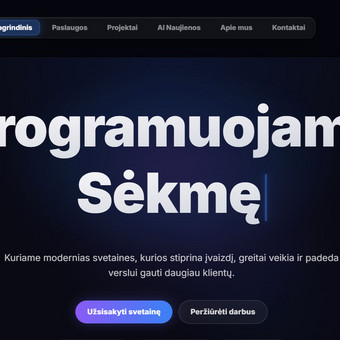 Svetainių dizainas (web design) Klaipėda PKSite nuotrauka 1
