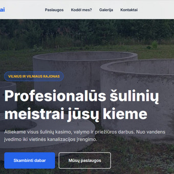 Svetainių kūrimas Vilnius Darius Pupšys nuotrauka 3