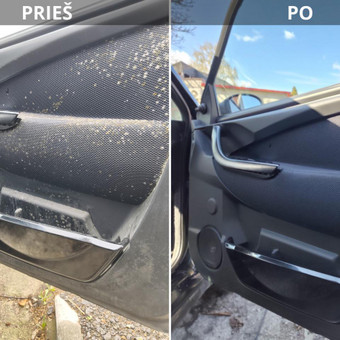 Pelėsio šalinimas Panevėžys Mindaugas mažeika nuotrauka 6