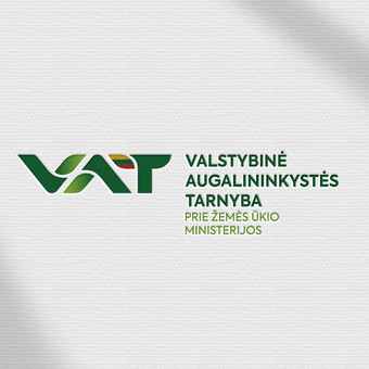Logotipų kūrimas Vilnius Ana nuotrauka 8