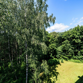 Sklypų pardavimas Kaunas Mantas Katkevičius nuotrauka 10