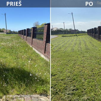 Žolės pjovimas Kretingos rajonas Mantas nuotrauka 1