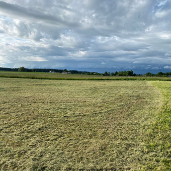 Pievų šienavimas Kretingos rajonas Mantas nuotrauka 3