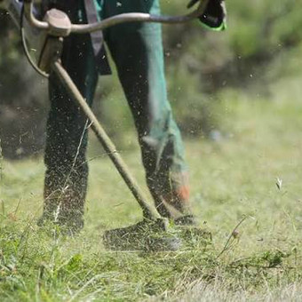 Žolės pjovimas Vilnius Tvarkau Aplinką nuotrauka 1