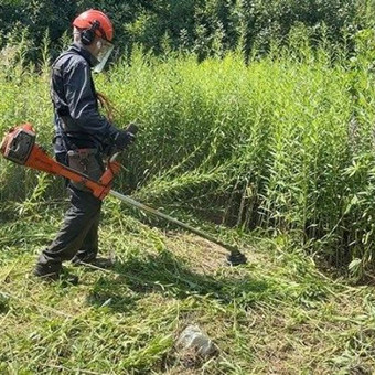 Žolės pjovimas trimeriu Panevėžys Dėl paslaugų nuotrauka 7