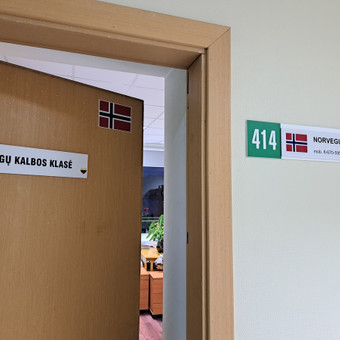 Norvegų kalbos mokymas grupėse Kaunas Aušra Damanskienė nuotrauka 1