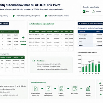 Darbo su „Microsoft Office Excel“ programa konsultacijos Vilnius Tomas | analytics.bi nuotrauka 1