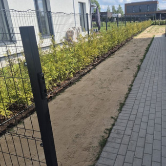 Vejos lyginimas levelingas su smeliu Vilniaus rajonas Tomas Venslovas nuotrauka 5