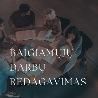 Baigiamųjų darbų redagavimas Kaunas Dominyka Aleksaitė nuotrauka 7