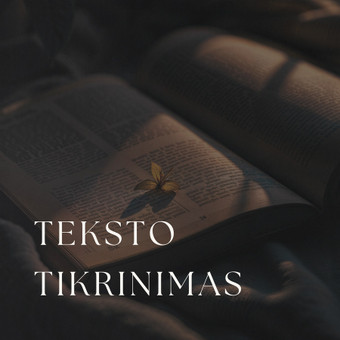 Teksto tikrinimas Kaunas Dominyka Aleksaitė nuotrauka 1