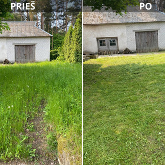 Pjovimas trimeriu Kretingos rajonas Mantas nuotrauka 6