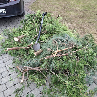 Žaliųjų atliekų išvežimas Vilnius Vilniaus Atliekos nuotrauka 12