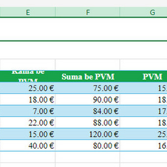 Excel automatizavimas ir lentelių tvarkymas Klaipėda Dominykas Burneckis nuotrauka 6