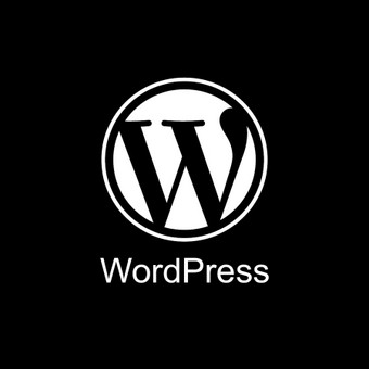 Programavimas su WordPress Vilnius Paulius nuotrauka 6