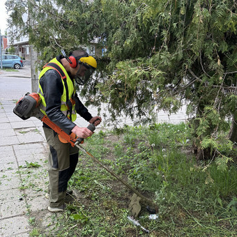 Žoles pjovimas trimeriu Šiauliai MB Etvarka nuotrauka 5