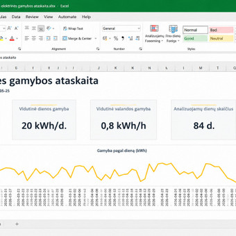 Excel automatizavimas ir ataskaitų kūrimas Vilnius Tomas | analytics.bi nuotrauka 2