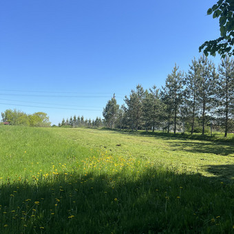 Pievų šienavimas Vilnius Karolis nuotrauka 2