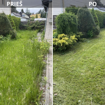 Žolės pjovimas Kaunas Marius nuotrauka 1