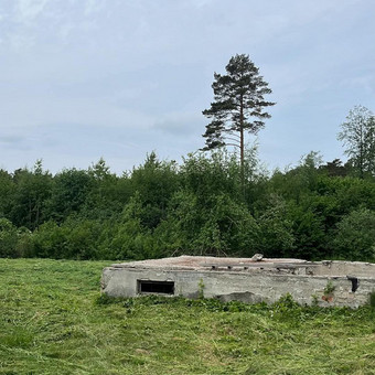 Žolės pjovimas Palanga Liudas nuotrauka 1