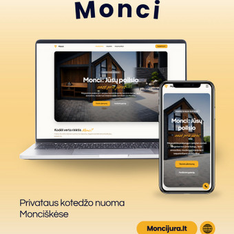 Svetainių dizainas (web design) Kaunas PromotiTeam nuotrauka 1
