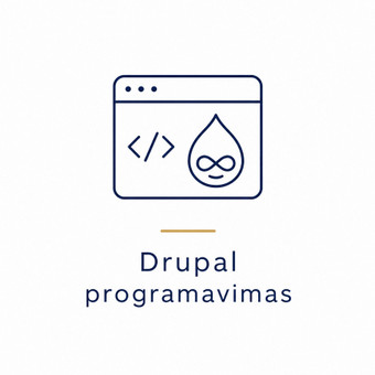 Drupal programavimas Kaunas PaGo Digital nuotrauka 16