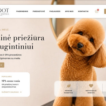 Svetainių dizainas (web design) Kaunas Armandas Buda nuotrauka 1