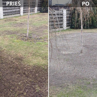 Vejos įrengimas: sėjimas, ruloninė veja Kaunas Apleistos žolės pjovimas trimeriais nuotrauka 4
