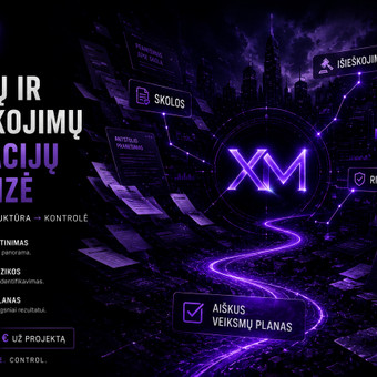 ✅ Skolų ir išieškojimų situacijų analizė Utenos rajonas Pijus Miškinis nuotrauka 3
