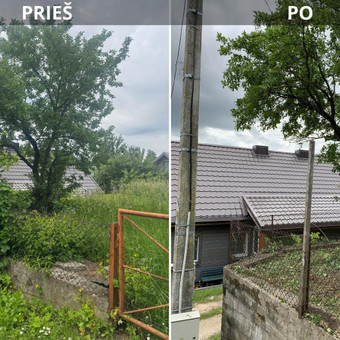 Medžių genėjimas Kaunas Marius nuotrauka 3