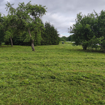 Žolės pjovimas Alytus Ričardas Urbonas nuotrauka 1